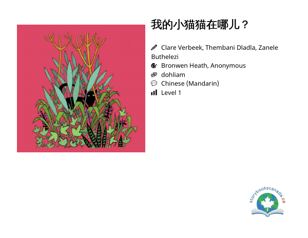我的小猫猫在哪儿?封面